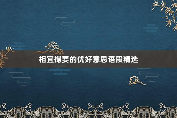 相宜撮要的优好意思语段精选